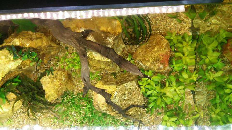 Double-Row Planted Aquarium LED Light product image 26