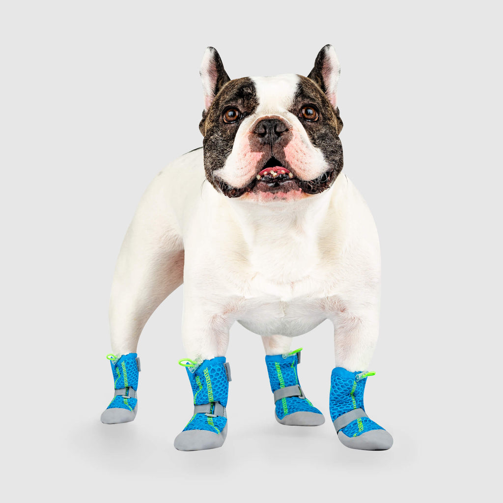 Hot Pavement Dog Boots product image 2
