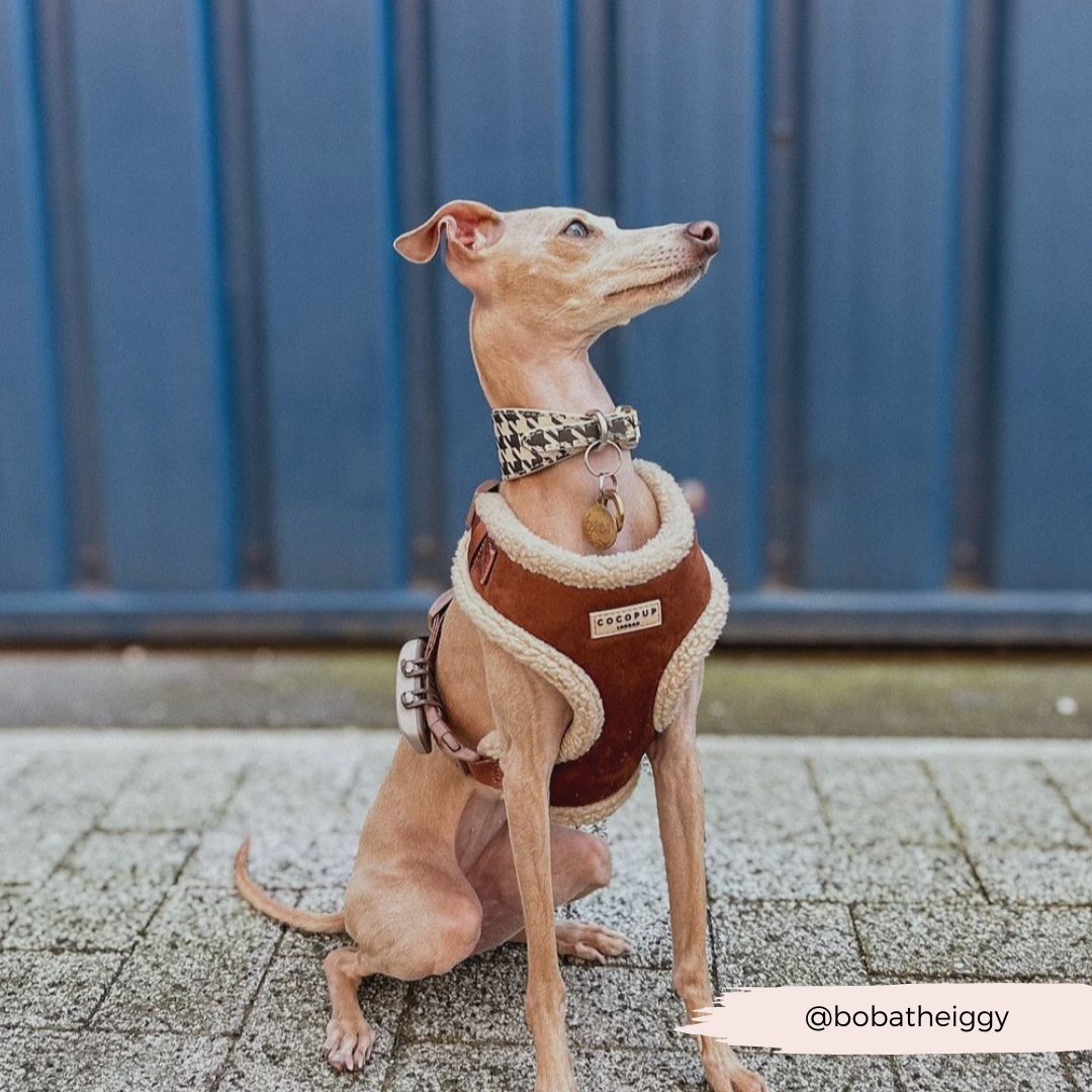 Adjustable Neck Dog Harness, Brown Faux Suede Walking Vest with Soft Fluffy Trim in XXS to Large Sizes source image 34