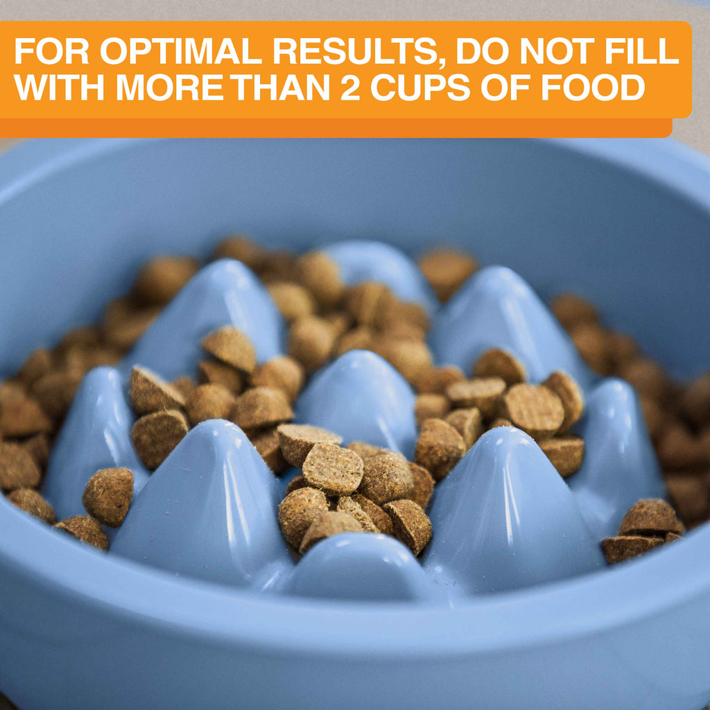 Slow Feeder Dog Bowl, Nine-Peak Non-Skid Two-Cup Design for Flat-Faced and Fast-Eating Dogs source image 34
