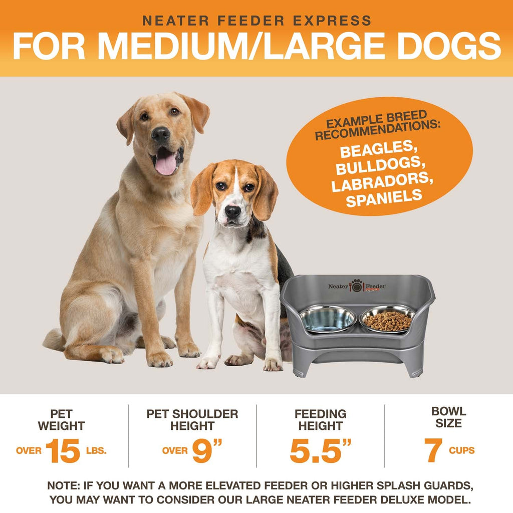 Elevated Mess-Proof Pet Feeding Station, Spill-Containment Design and Dishwasher-Safe Stainless Steel Bowls source image 34