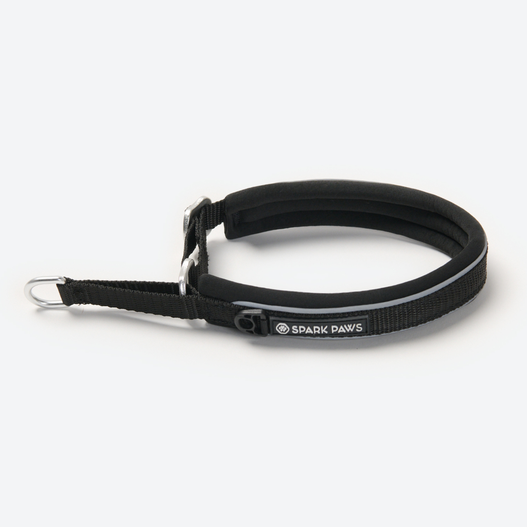 Cushioned Martingale Dog Collar for Gentle Leash Guidance, Limited-Cinch Design in Five Sizes source image 34