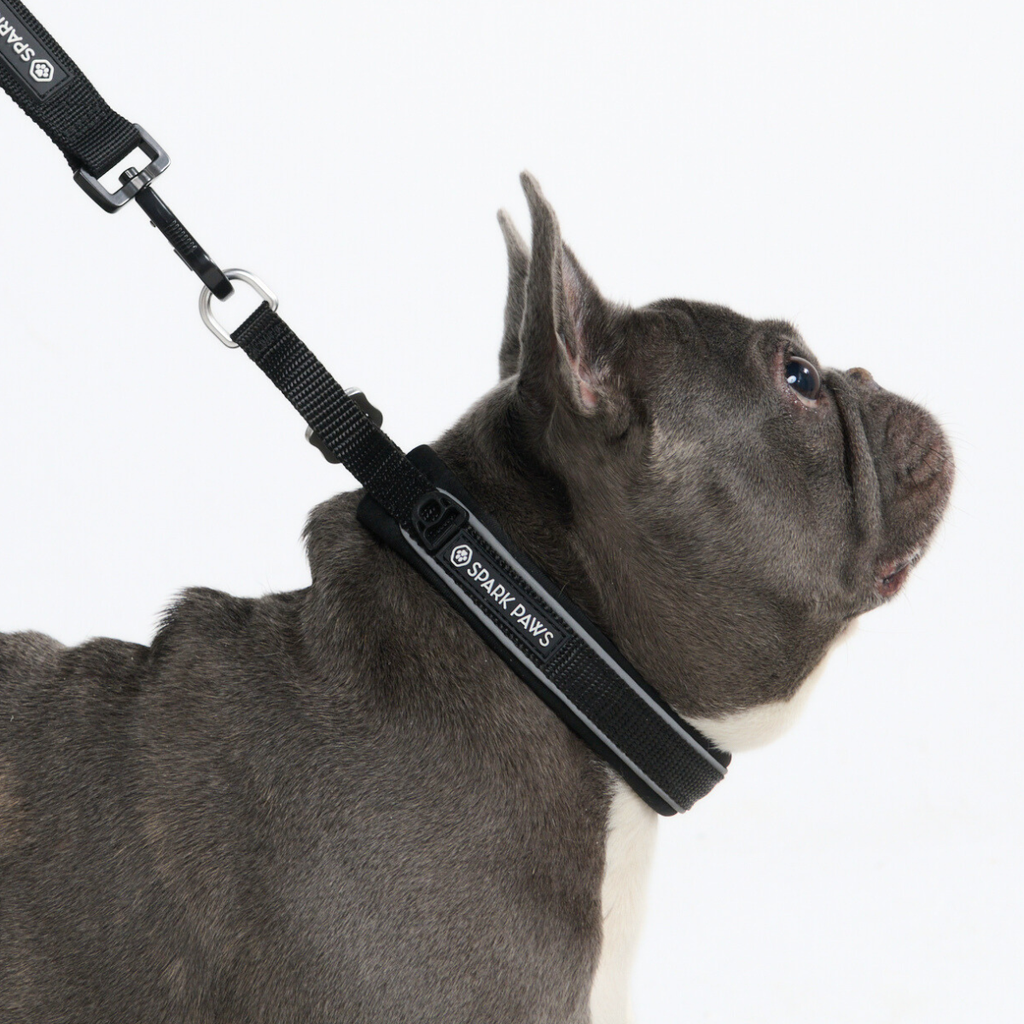 Cushioned Martingale Dog Collar for Gentle Leash Guidance, Limited-Cinch Design in Five Sizes source image 35