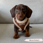 Adjustable Neck Dog Harness, Brown Faux Suede Walking Vest with Soft Fluffy Trim in XXS to Large Sizes source image 35