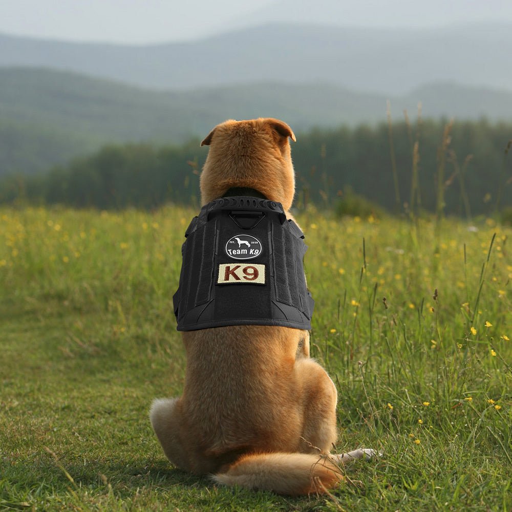 Heavy-Duty Tactical No-Pull Dog Harness with Dual D-Ring Control and Quick-Release Metal Buckles product image 35