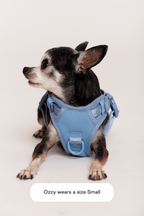 Hands-Free Dog Walking Set for Waist or Shoulder Wear, Neoprene Harness and Compact Pouch Bundle source image 35