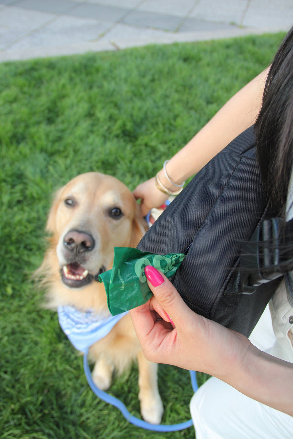 Waterproof Dog Walking Shoulder Bag, Organized Treat and Waste Storage for Training and Daily Outings source image 36