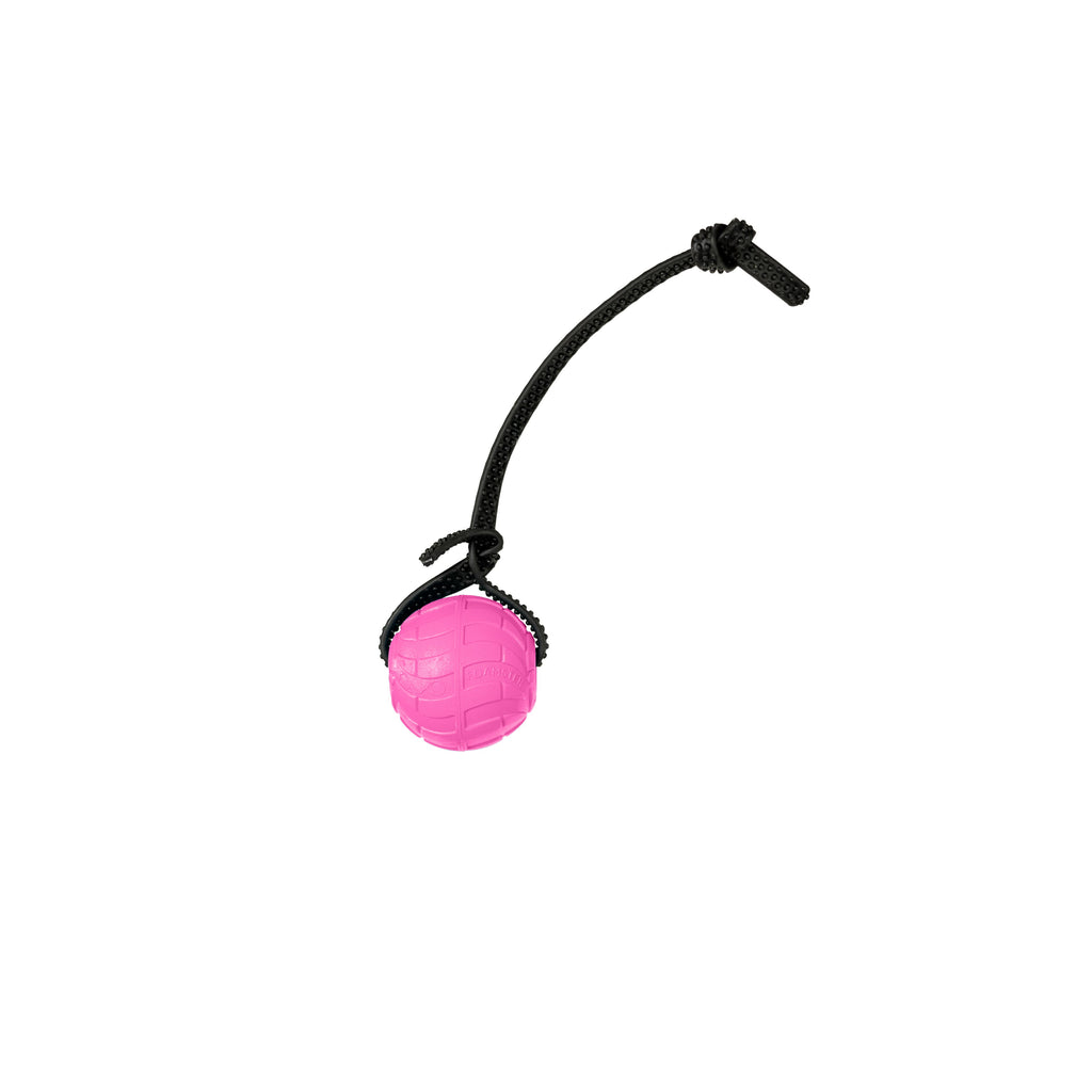 Foam Dog Ball with Grip Strap product image 36