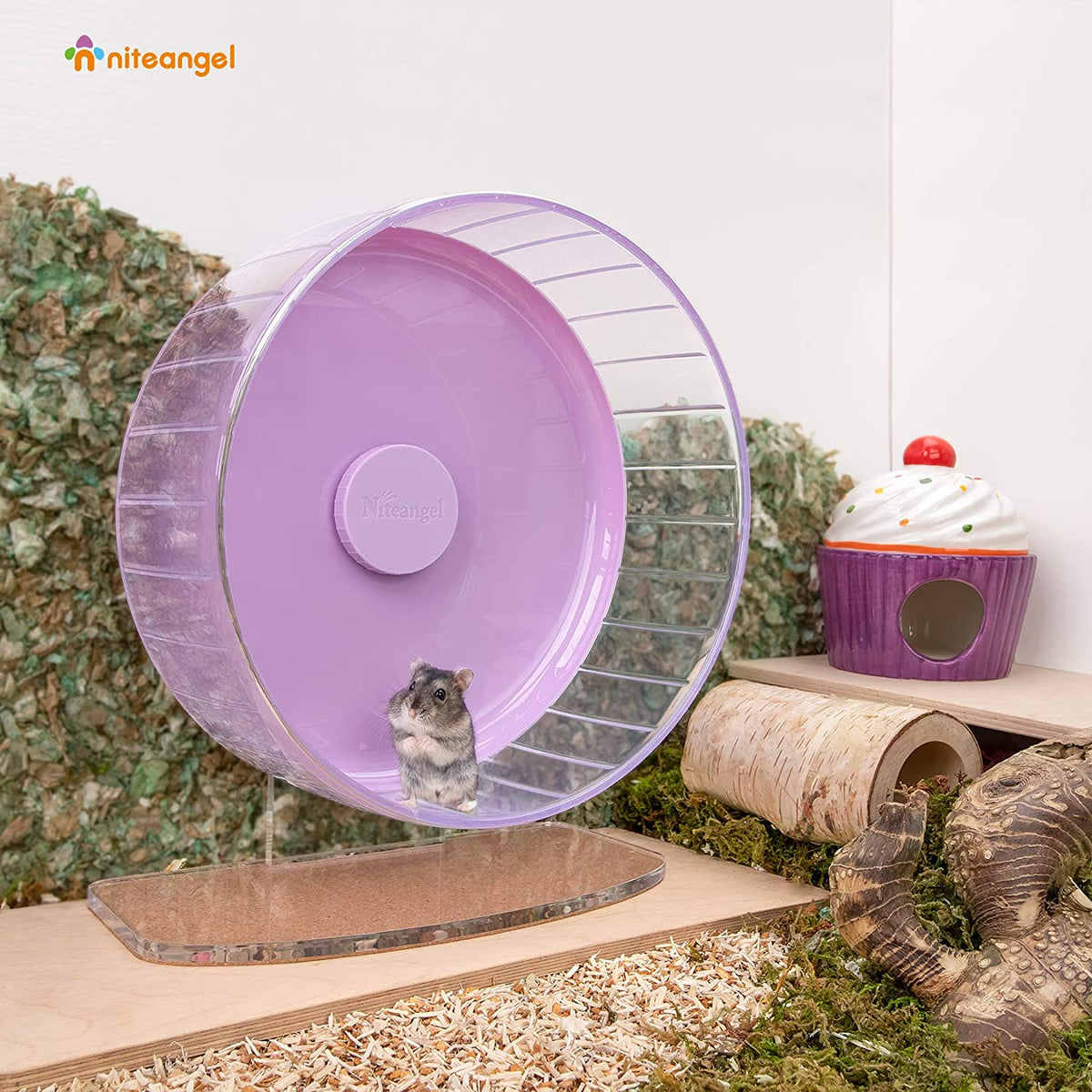 Super-Silent Hamster Exercise Wheel with Adjustable Height and Dual-Bearing Spinner in Four Sizes source image 37
