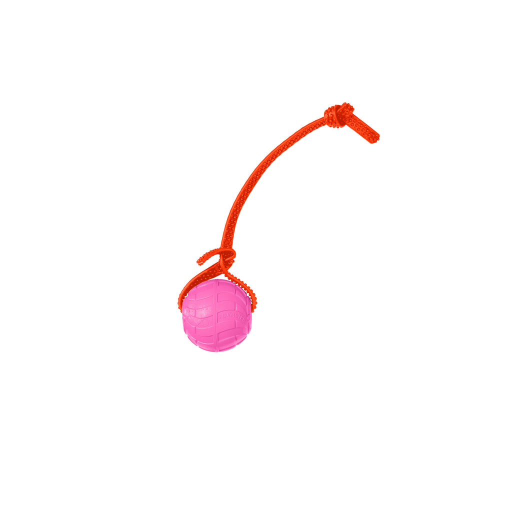 Foam Dog Ball with Grip Strap product image 37