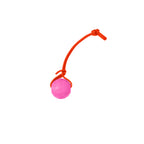 Foam Dog Ball with Grip Strap product image 37