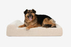 Orthopedic Dog Bed for Small and Medium Dogs, 4-Inch Layered Foam in Headrest and Sofa Styles source image 38