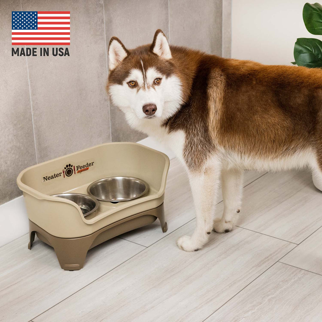 Elevated Mess-Proof Pet Feeding Station, Spill-Containment Design and Dishwasher-Safe Stainless Steel Bowls source image 38