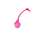 Foam Dog Ball with Grip Strap product image 38