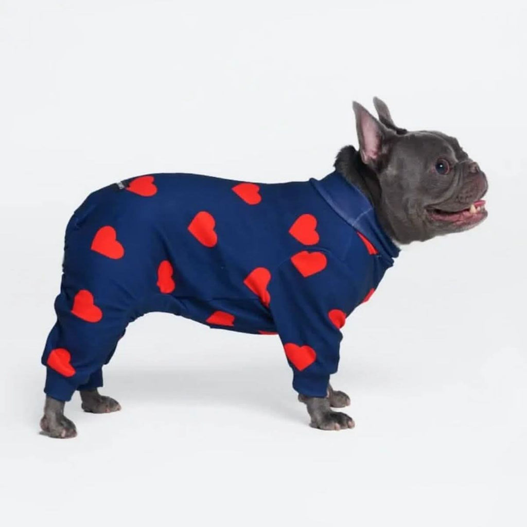Dog Pajamas product image 38