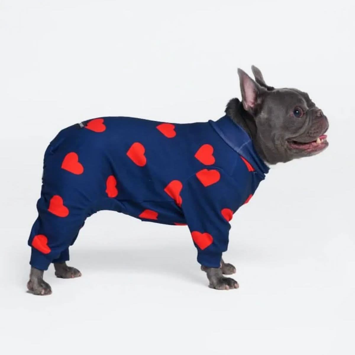 Dog Pajamas product image 38