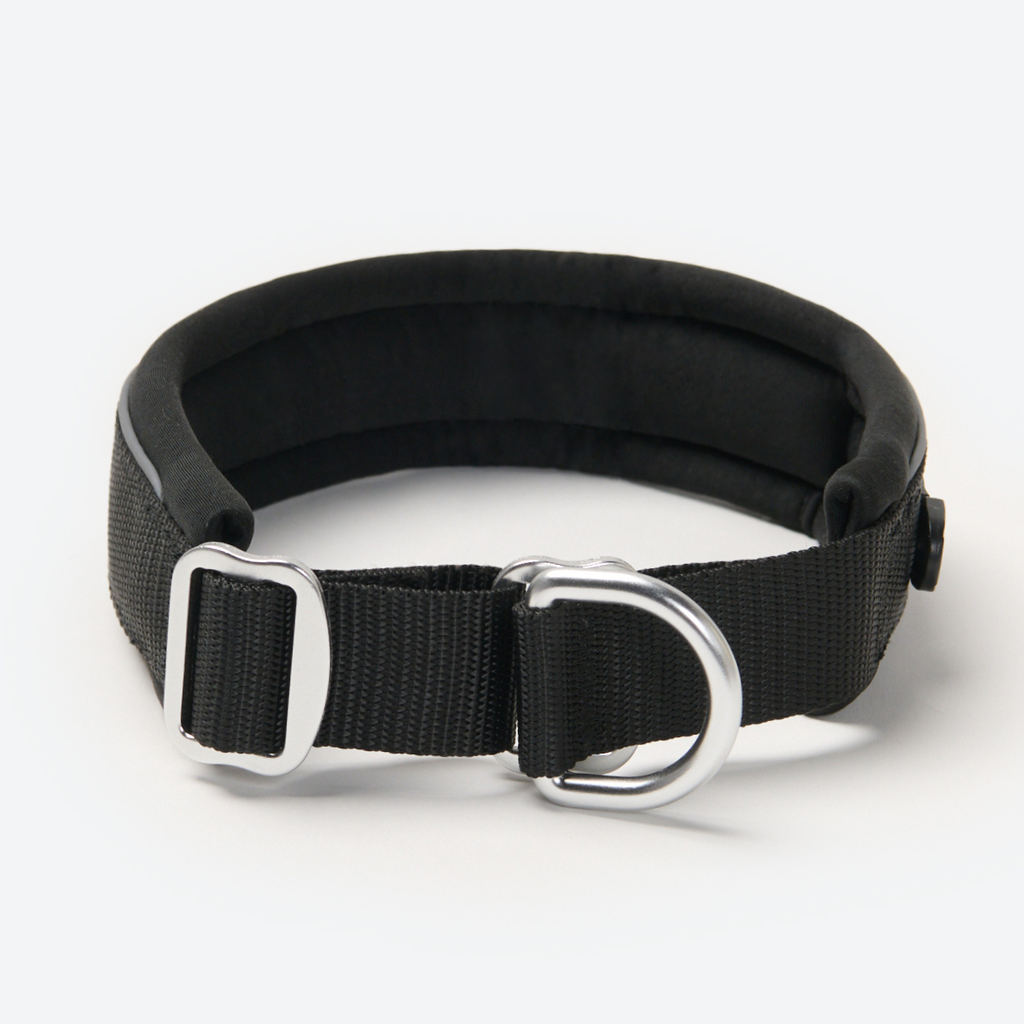 Cushioned Martingale Dog Collar for Gentle Leash Guidance, Limited-Cinch Design in Five Sizes source image 39