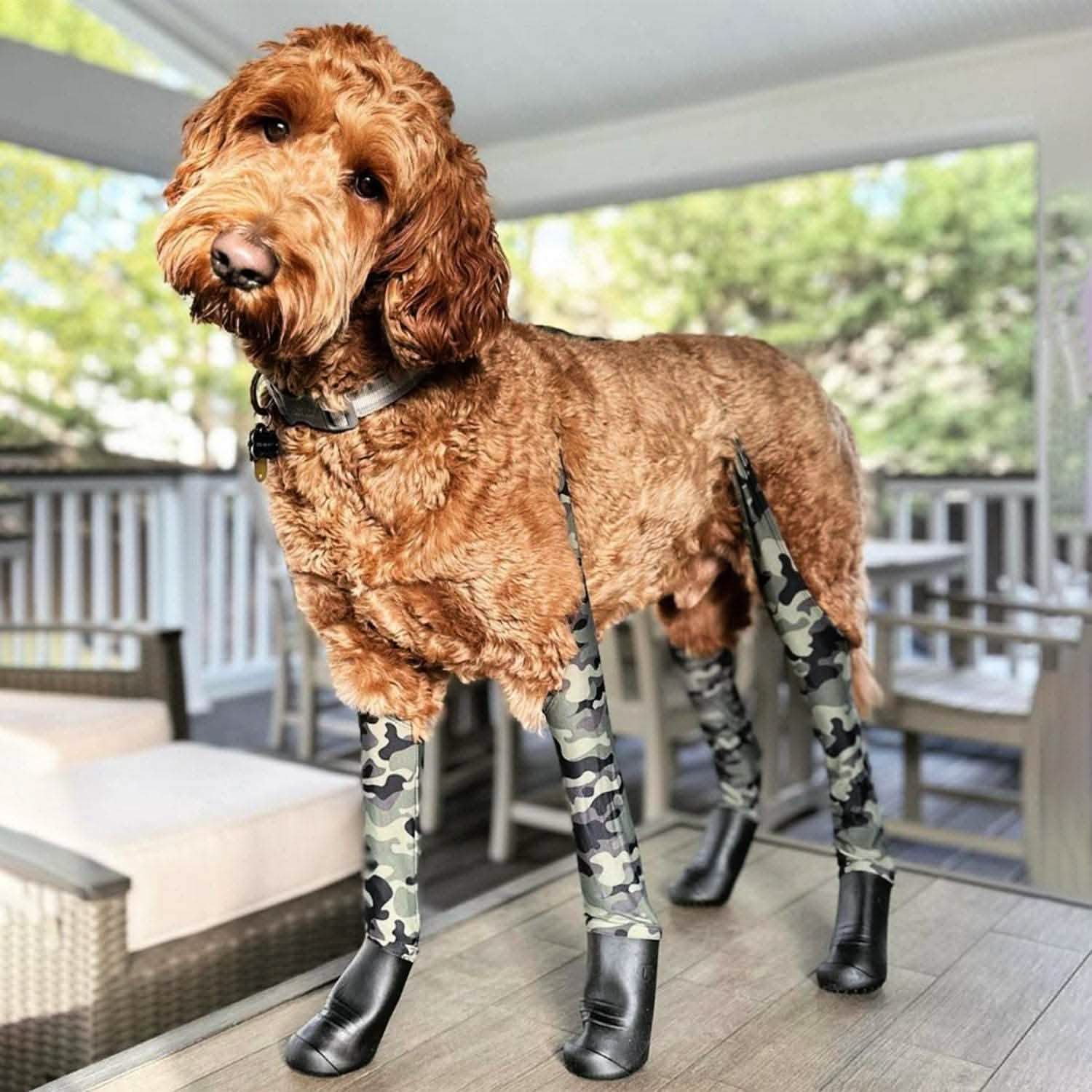 Waterproof Dog Boot Leggings for Winter Walks, Seam-Free TPE Paw Covers and Full-Leg Protection source image 39