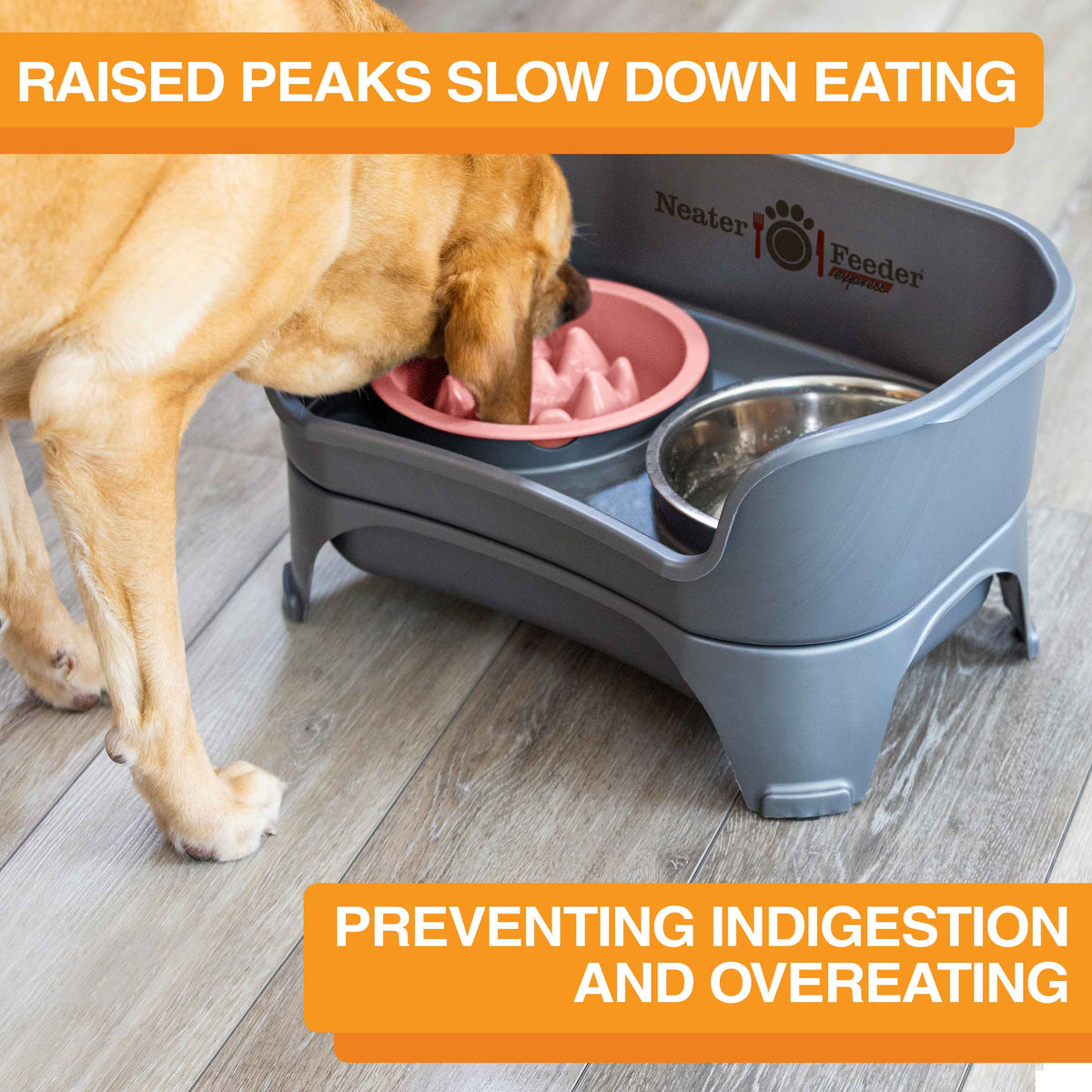 Slow Feeder Dog Bowl, Nine-Peak Non-Skid Two-Cup Design for Flat-Faced and Fast-Eating Dogs source image 39