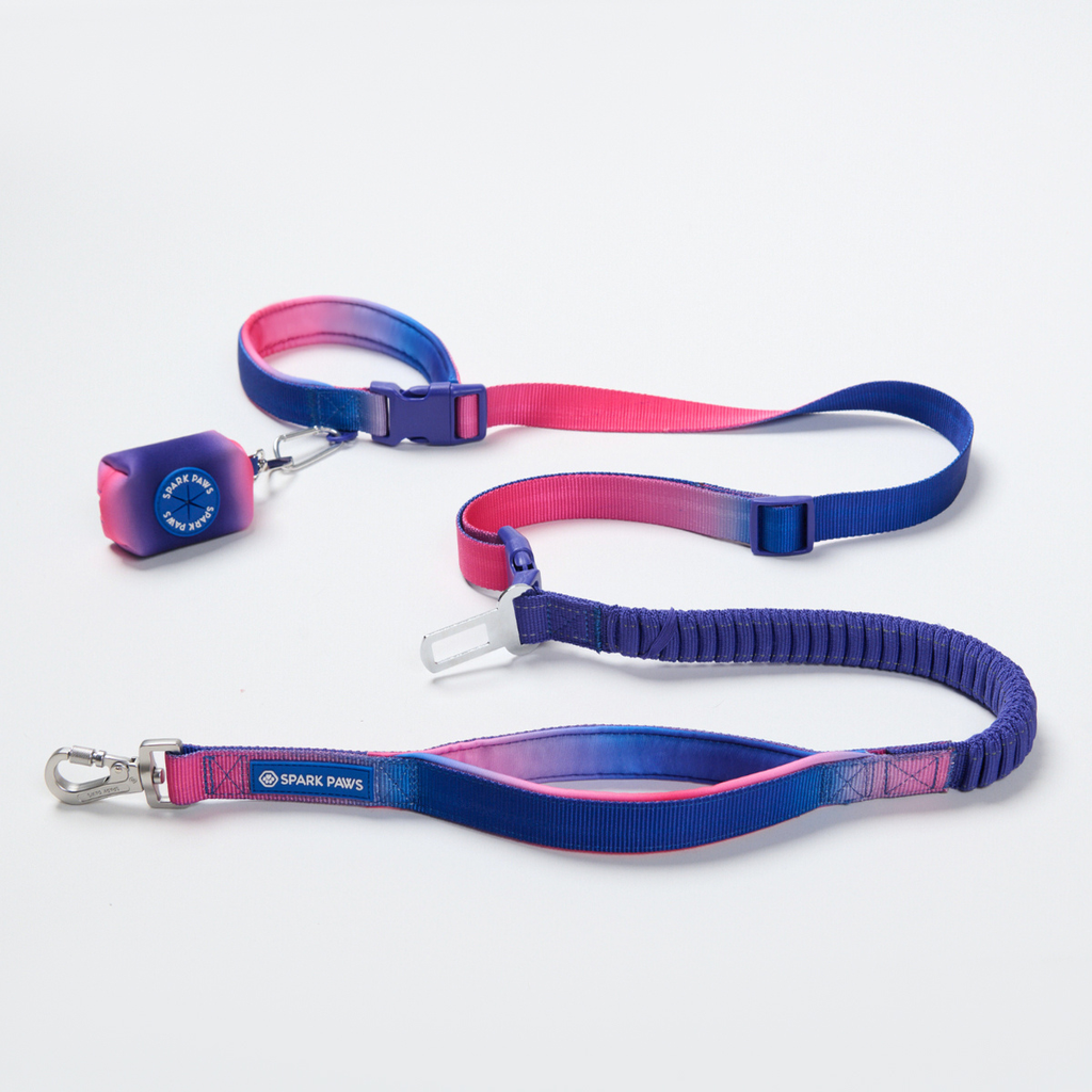 Hands-Free Dog Leash and Waste Bag Holder Set, Bungee Control and Dual Handles for Everyday Walks source image 39