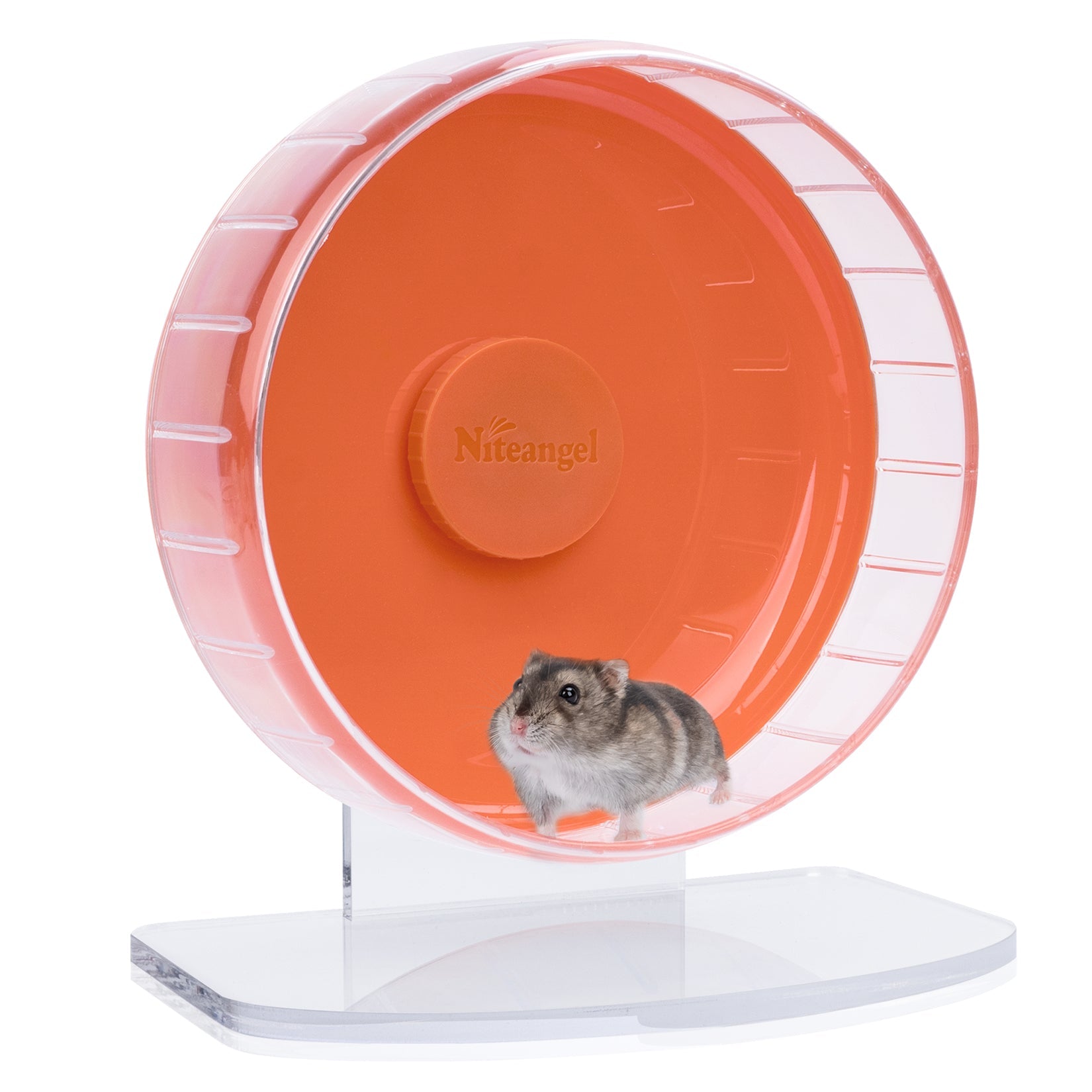 Super-Silent Hamster Exercise Wheel with Adjustable Height and Dual-Bearing Spinner in Four Sizes source image 39