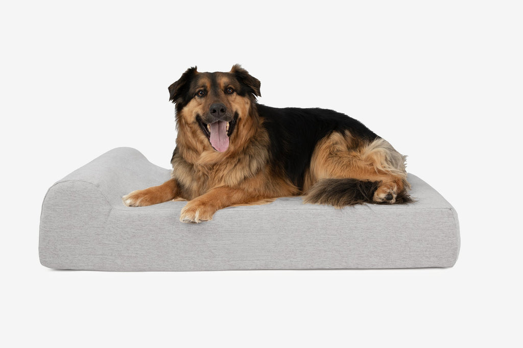 Orthopedic Dog Bed for Small and Medium Dogs, 4-Inch Layered Foam in Headrest and Sofa Styles source image 39