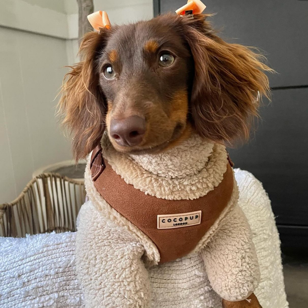 Adjustable Neck Dog Harness, Brown Faux Suede Walking Vest with Soft Fluffy Trim in XXS to Large Sizes source image 39