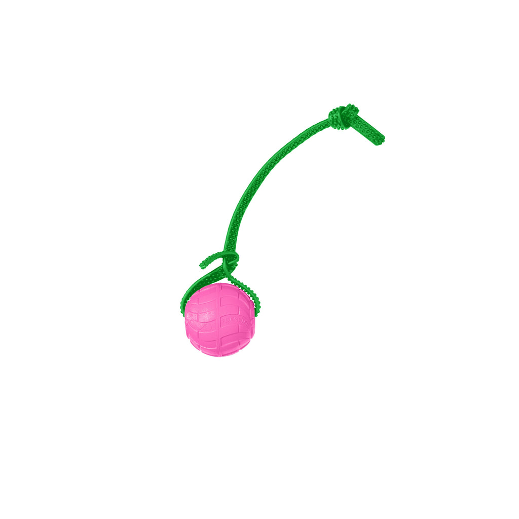 Foam Dog Ball with Grip Strap product image 39