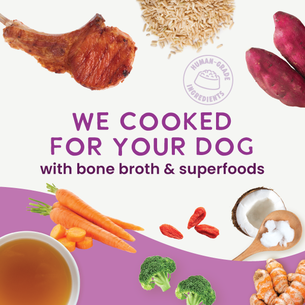 Gently Cooked Dog Food product image 4