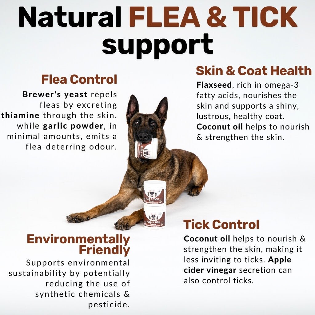 Flea and Tick Support Chews for Dogs product image 4