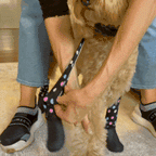 Waterproof Dog Boot Leggings for Winter Walks, Seam-Free TPE Paw Covers and Full-Leg Protection source image 40