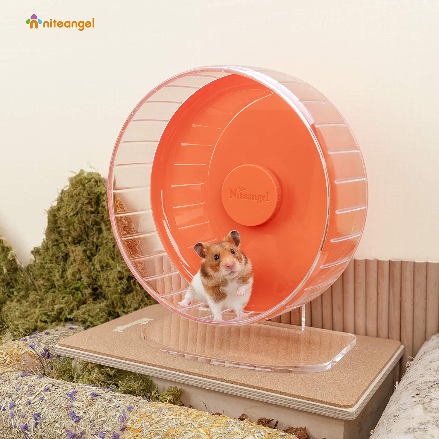 Super-Silent Hamster Exercise Wheel with Adjustable Height and Dual-Bearing Spinner in Four Sizes source image 40