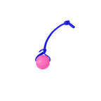 Foam Dog Ball with Grip Strap product image 40
