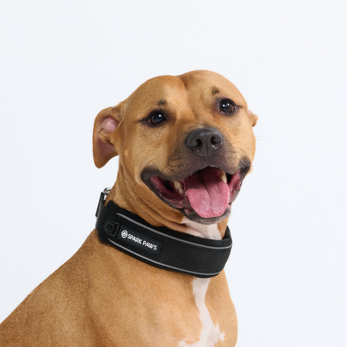 Cushioned Martingale Dog Collar for Gentle Leash Guidance, Limited-Cinch Design in Five Sizes source image 41