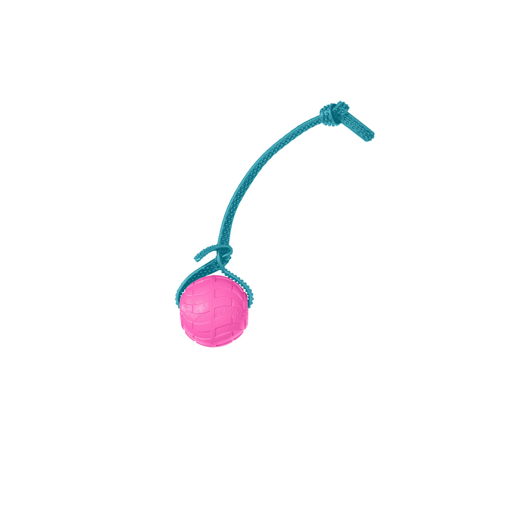 Foam Dog Ball with Grip Strap product image 41