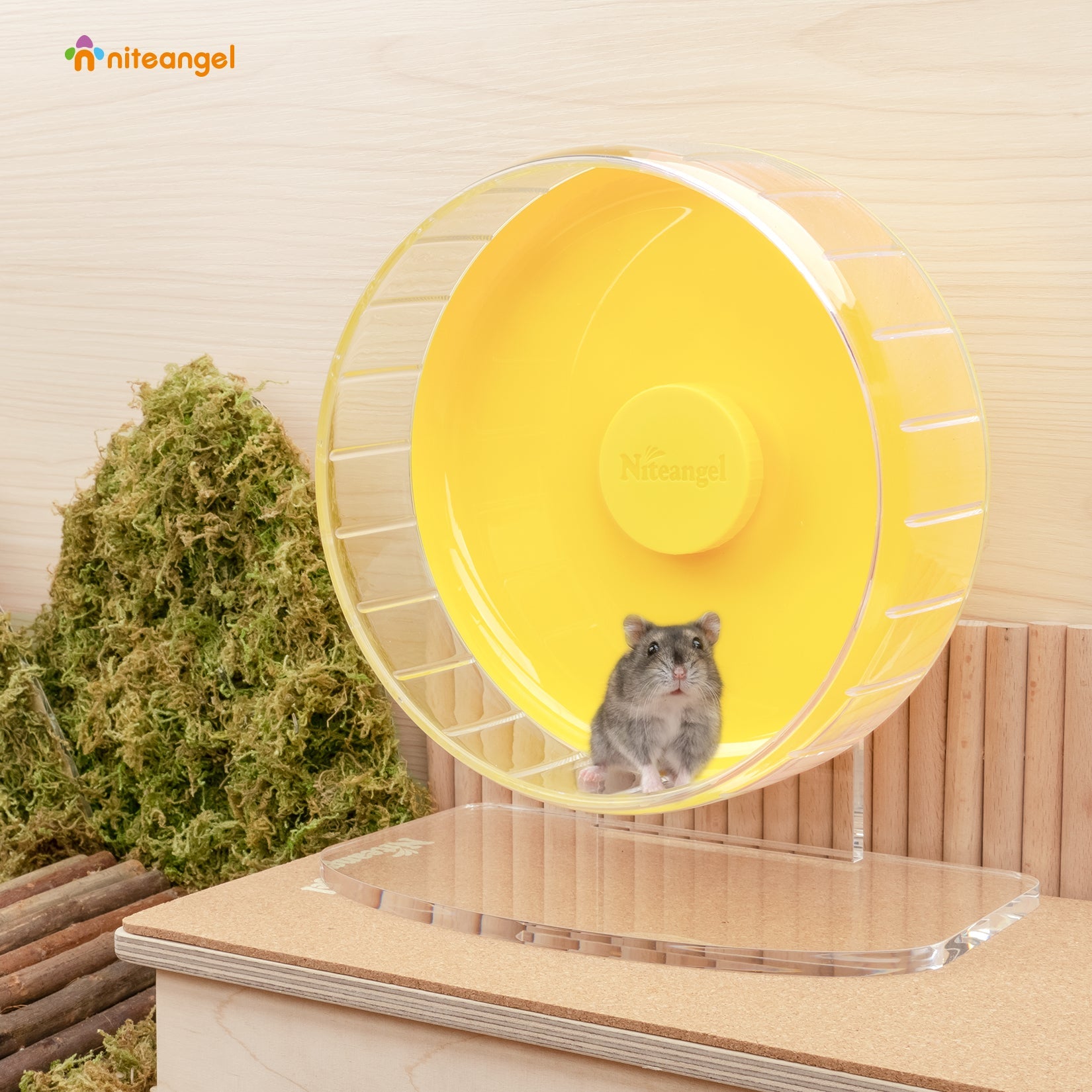 Super-Silent Hamster Exercise Wheel with Adjustable Height and Dual-Bearing Spinner in Four Sizes source image 42