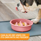 Slow Feeder Dog Bowl, Nine-Peak Non-Skid Two-Cup Design for Flat-Faced and Fast-Eating Dogs source image 42