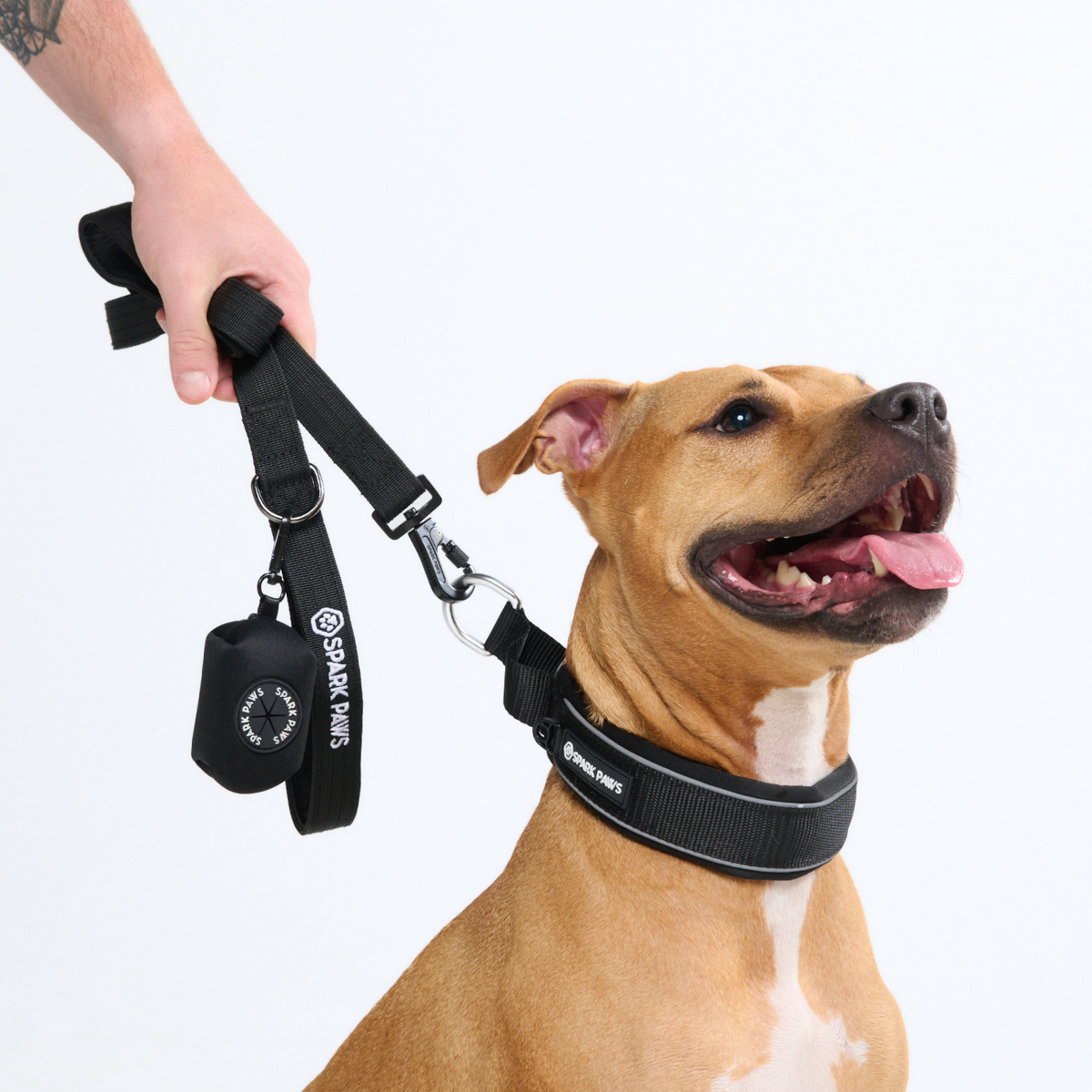 Cushioned Martingale Dog Collar for Gentle Leash Guidance, Limited-Cinch Design in Five Sizes source image 42