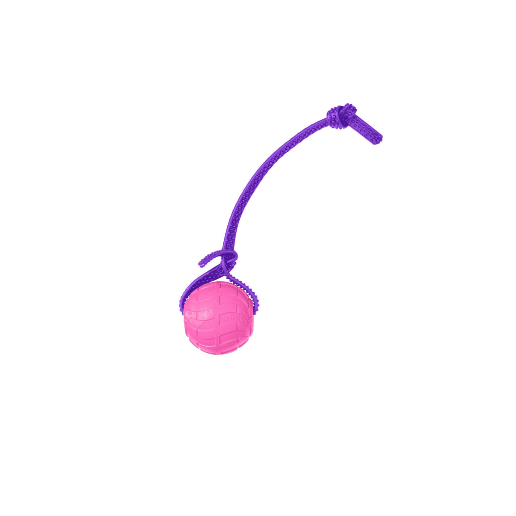 Foam Dog Ball with Grip Strap product image 42