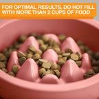 Slow Feeder Dog Bowl, Nine-Peak Non-Skid Two-Cup Design for Flat-Faced and Fast-Eating Dogs source image 43