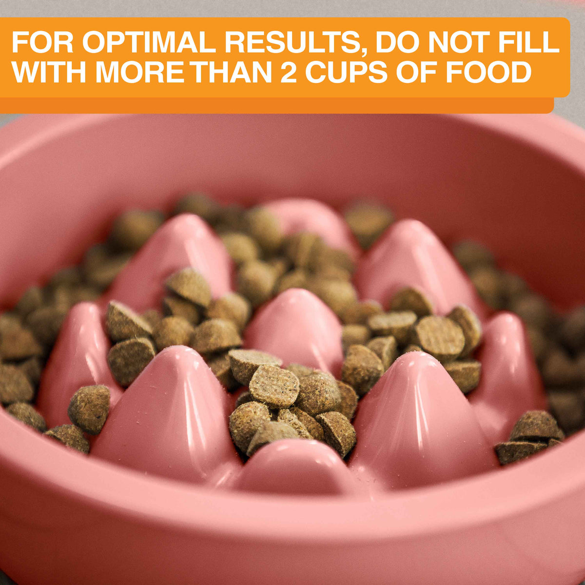 Slow Feeder Dog Bowl, Nine-Peak Non-Skid Two-Cup Design for Flat-Faced and Fast-Eating Dogs source image 43