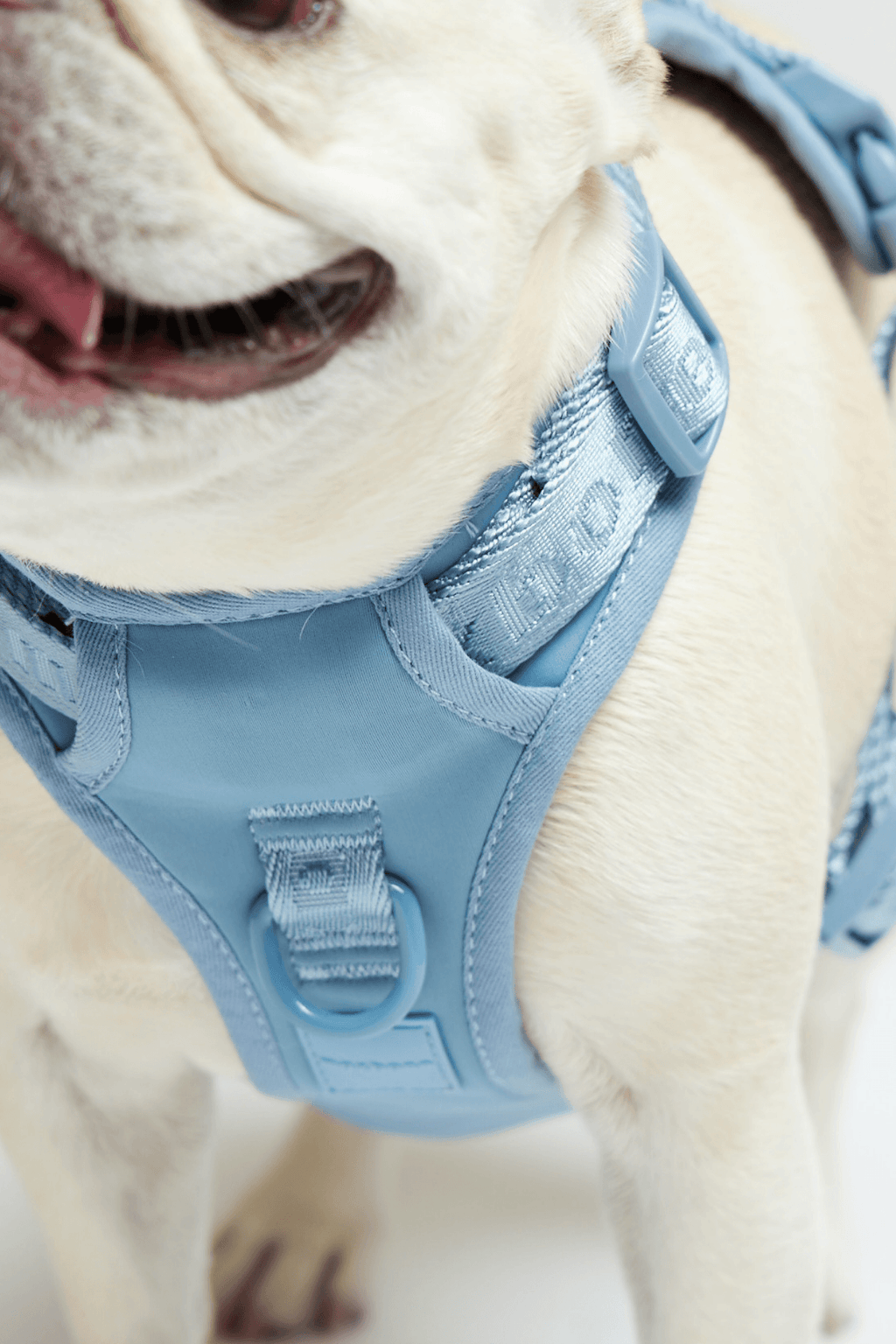 Hands-Free Dog Walking Set for Waist or Shoulder Wear, Neoprene Harness and Compact Pouch Bundle source image 43