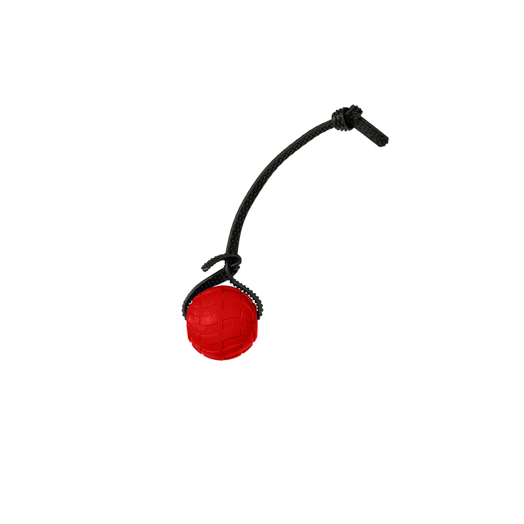 Foam Dog Ball with Grip Strap product image 43