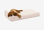 Orthopedic Dog Bed for Small and Medium Dogs, 4-Inch Layered Foam in Headrest and Sofa Styles source image 44
