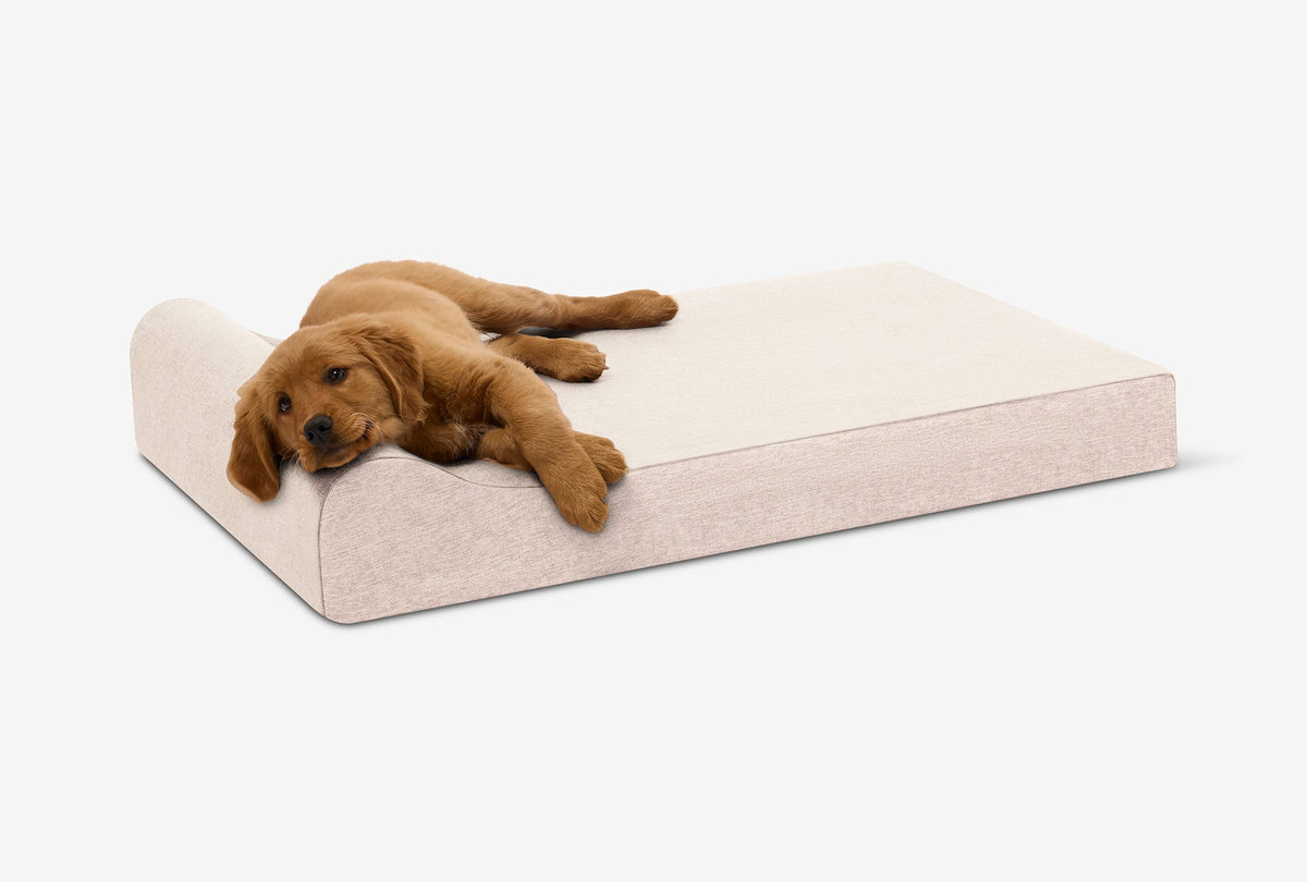Orthopedic Dog Bed for Small and Medium Dogs, 4-Inch Layered Foam in Headrest and Sofa Styles source image 44