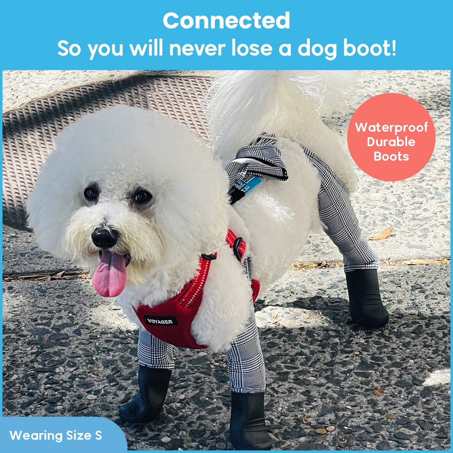 Waterproof Dog Boot Leggings for Winter Walks, Seam-Free TPE Paw Covers and Full-Leg Protection source image 44