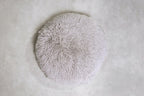 Replacement Cat Tree Cushion for Compatible Beds and Furniture in Ten Standard Color Variants product image 44