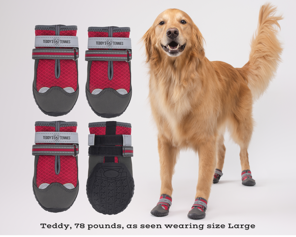 All-Season Protective Dog Shoes Red / XS