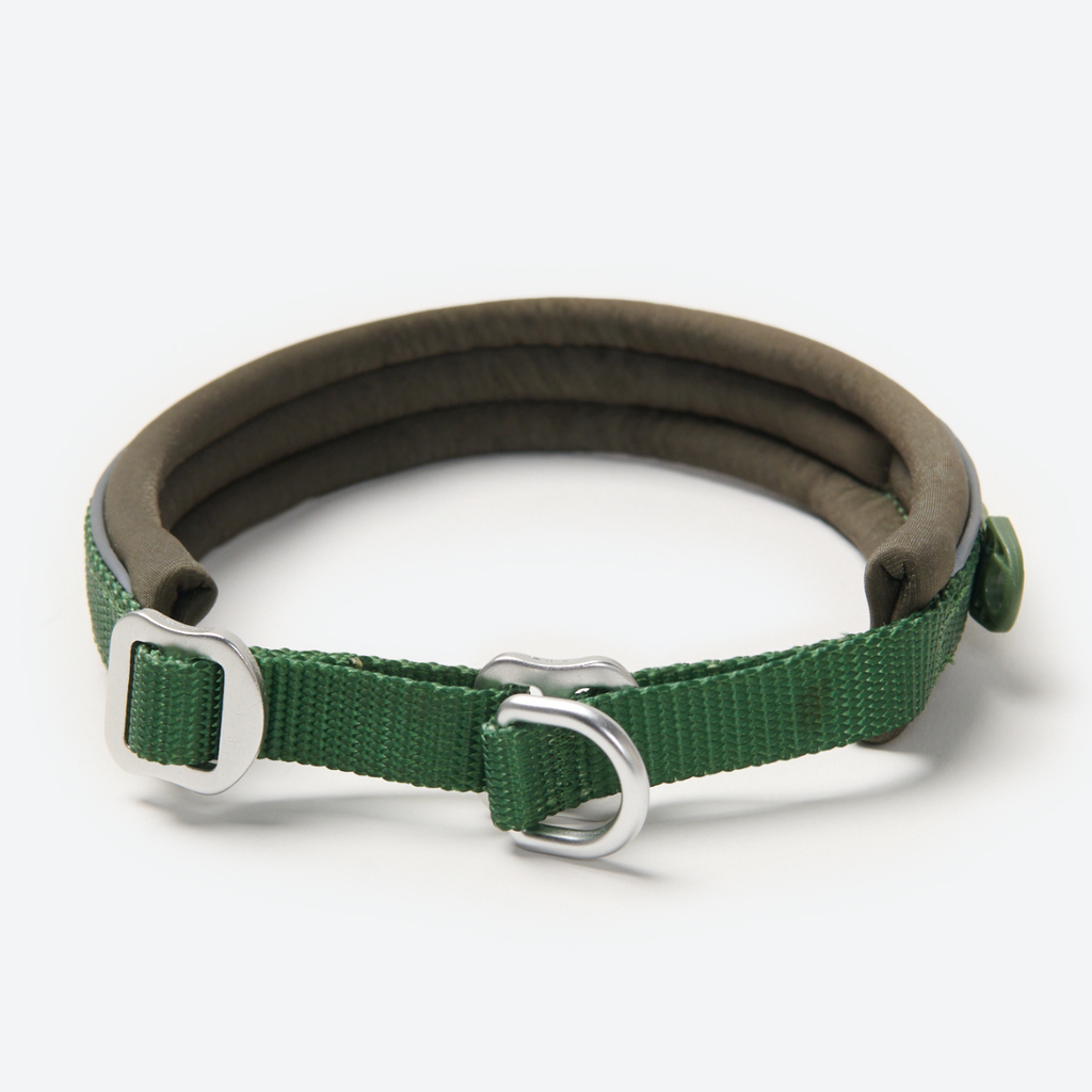 Cushioned Martingale Dog Collar for Gentle Leash Guidance, Limited-Cinch Design in Five Sizes source image 45