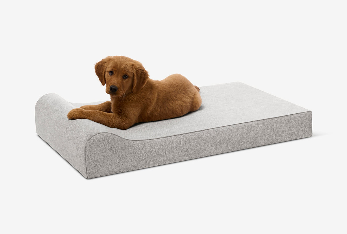 Orthopedic Dog Bed for Small and Medium Dogs, 4-Inch Layered Foam in Headrest and Sofa Styles source image 45